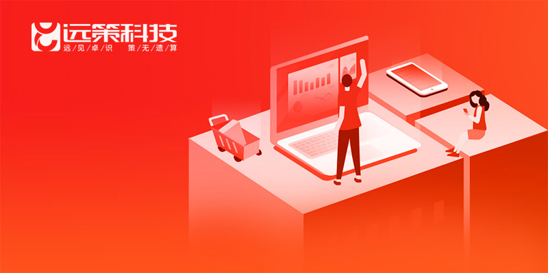 自主電商平臺開發